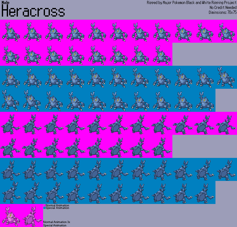 Pokémon Black / White - #214 Heracross (Male)