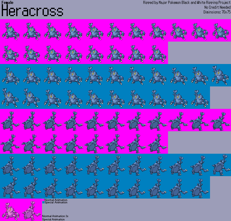 #214 Heracross (Female)