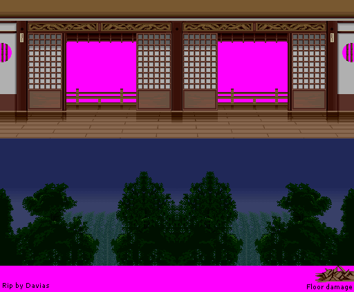 Genkai's Dojo (Night) / Masked Genkai Stage