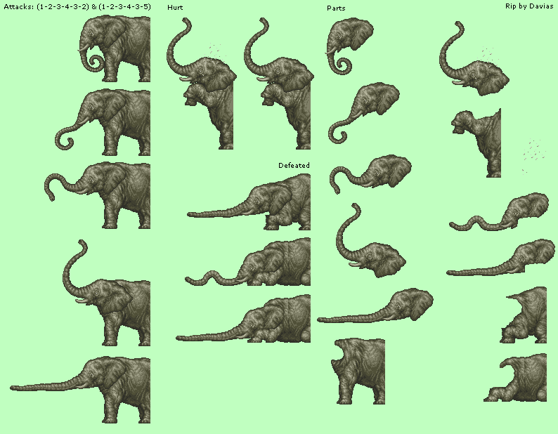 Elephant