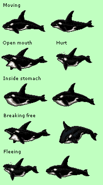 Orca