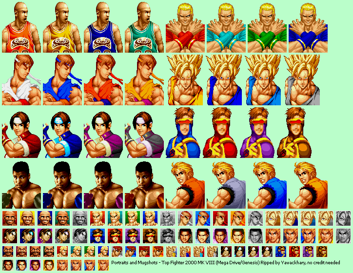 Top Fighter 2000 MK VIII (Bootleg) - Portraits & Mugshots