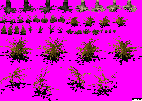 Plants