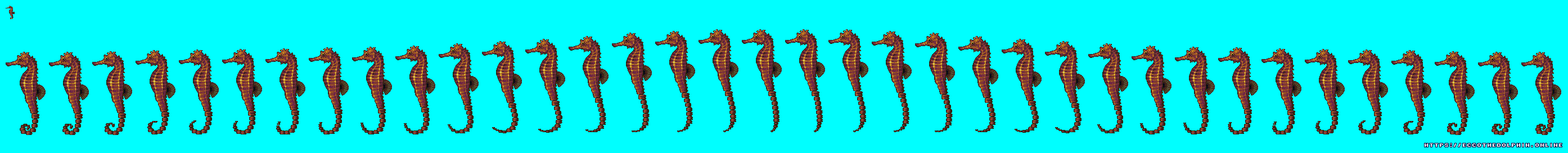 Ecco the Dolphin - Giant Seahorse