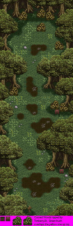 Cursed Woods