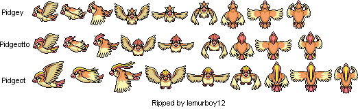 Pidgey Family