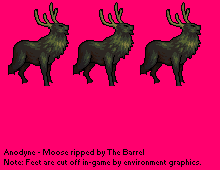 Moose