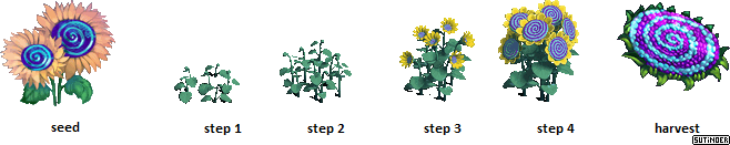 Zombie Island - Hypnosunflower