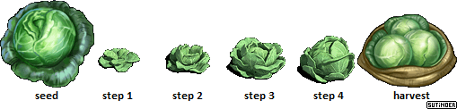 Zombie Island - Cabbage