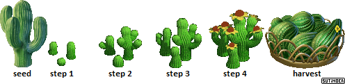 Cactus