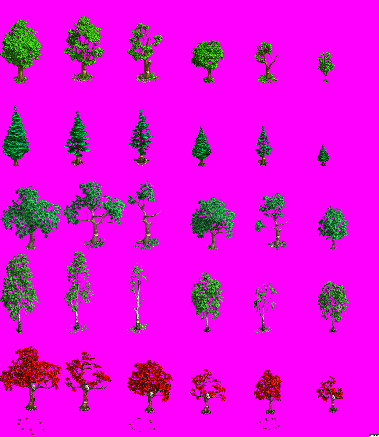 Trees 1