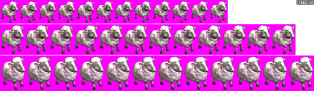 Sheep