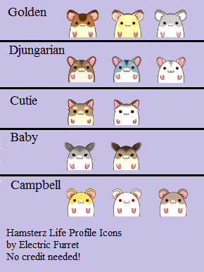 Hamster Profile Icons