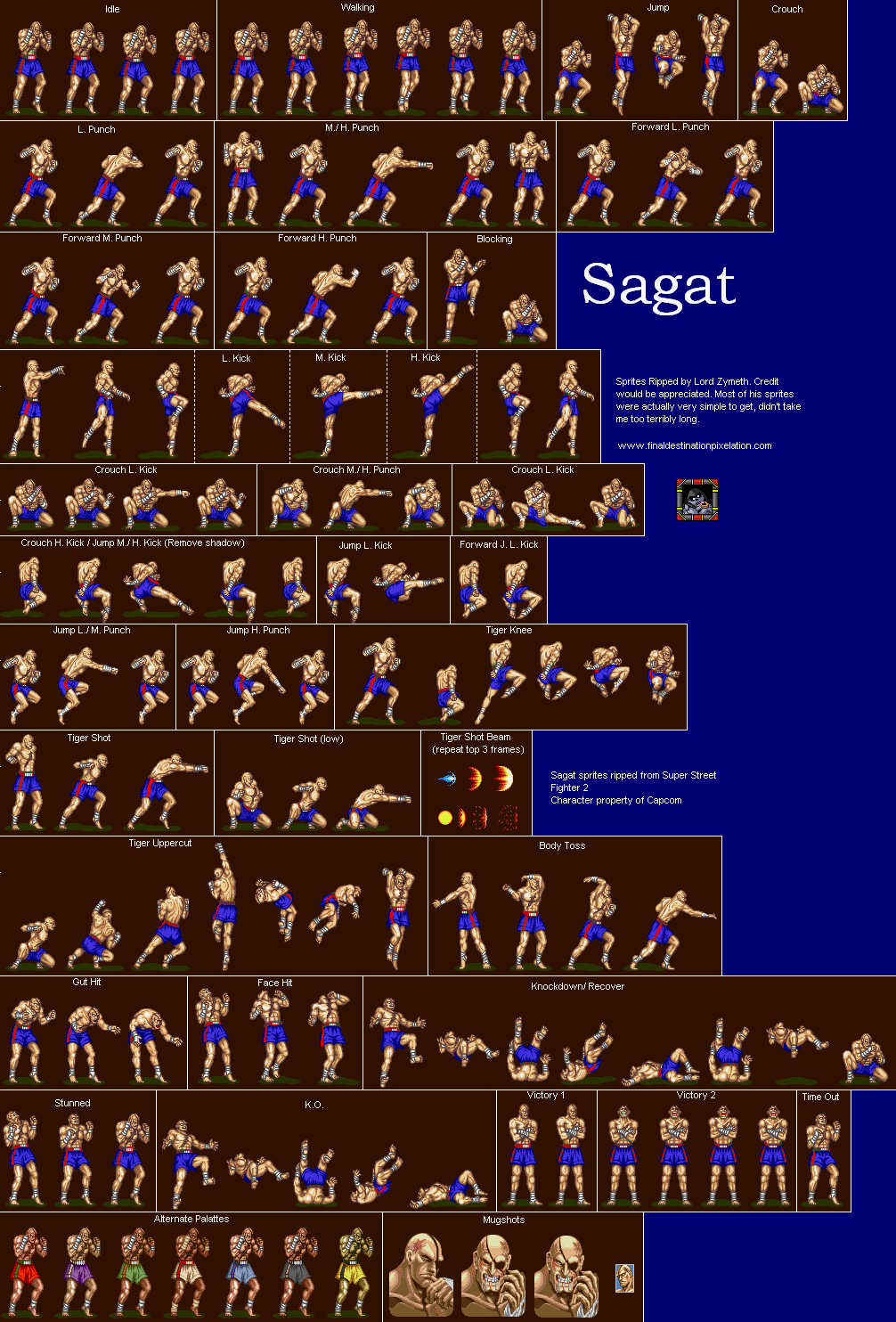Super Street Fighter II: The New Challengers - Sagat