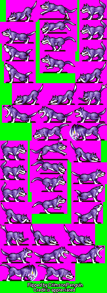 Dingo (Purple)