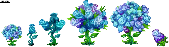 Blue Rose Tree