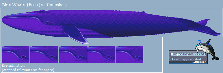 Blue Whale