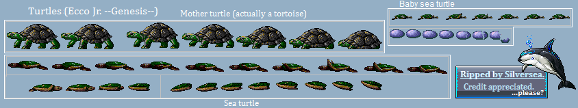 Ecco Jr. - Turtles