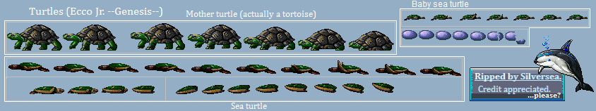 Turtles