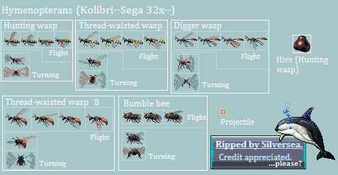 Kolibri (32X) - Wasps