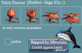 Kolibri (32X) - Trick Flower