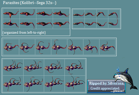 Kolibri (32X) - Parasites