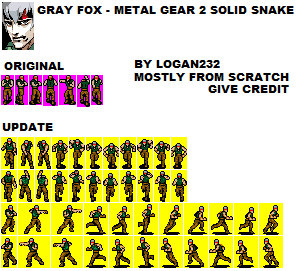 Gray Fox