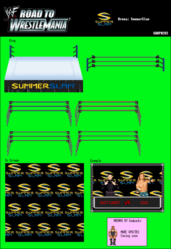 WWF Road to WrestleMania - SummerSlam