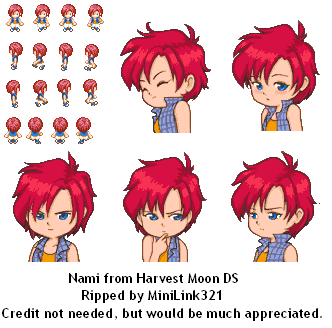 Harvest Moon DS - Nami