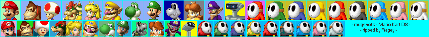 Mario Kart DS - Mugshots