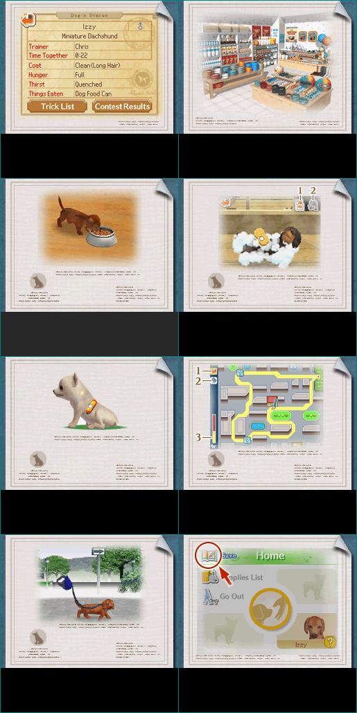 Nintendogs: Dalmatian & Friends - Care