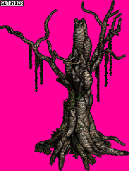 The Tree of Inifuss