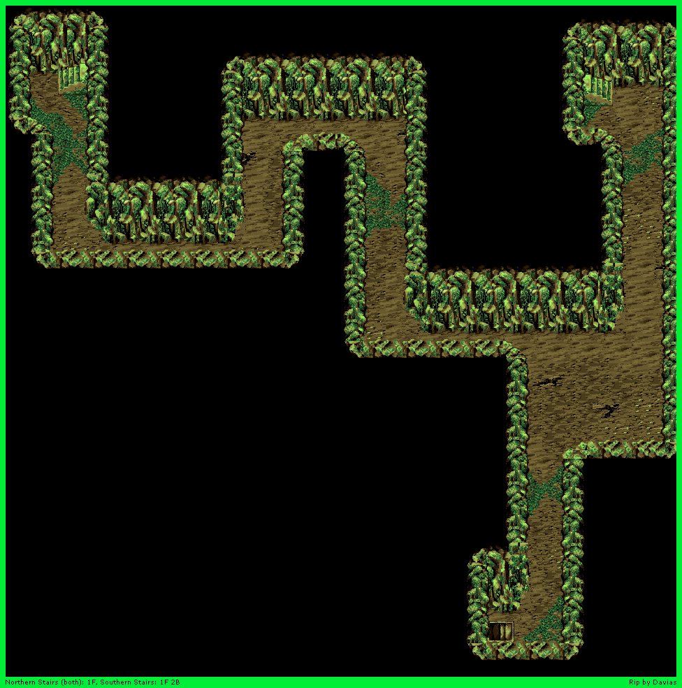 Purplonin Cave 1F 1B