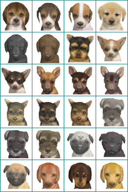 Nintendogs + Cats - Dog Icons (DS/E3 2010)