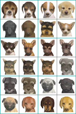 Dog Icons (DS/E3 2010)