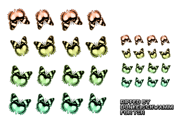 Gingiva - Butterflies