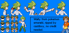 Pokémon Ruby / Sapphire - Wally