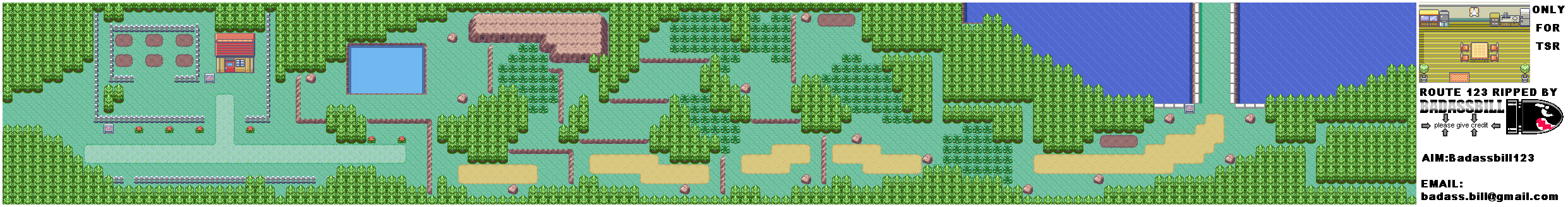 Pokémon Ruby / Sapphire - Route 123