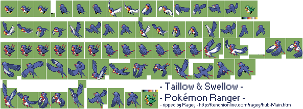 Pokémon Ranger - Taillow & Swellow