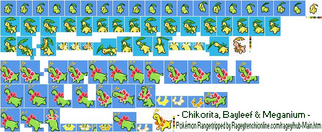 Pokémon Ranger - Chikorita, Bayleef & Meganium