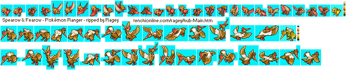 Pokémon Ranger - Spearow & Fearow