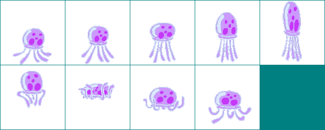 Jellyfish