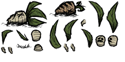 Don't Starve / Don't Starve Together - Mandrake