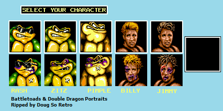 Battletoads and Double Dragon - Portraits