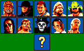 WWF Wrestlemania - Steel Cage Challenge (PAL) - Portraits