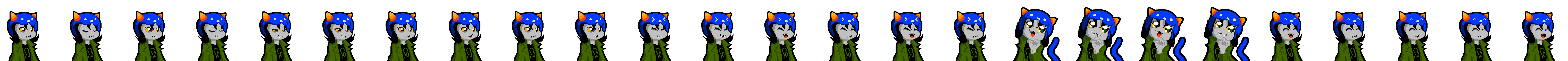 Nepeta