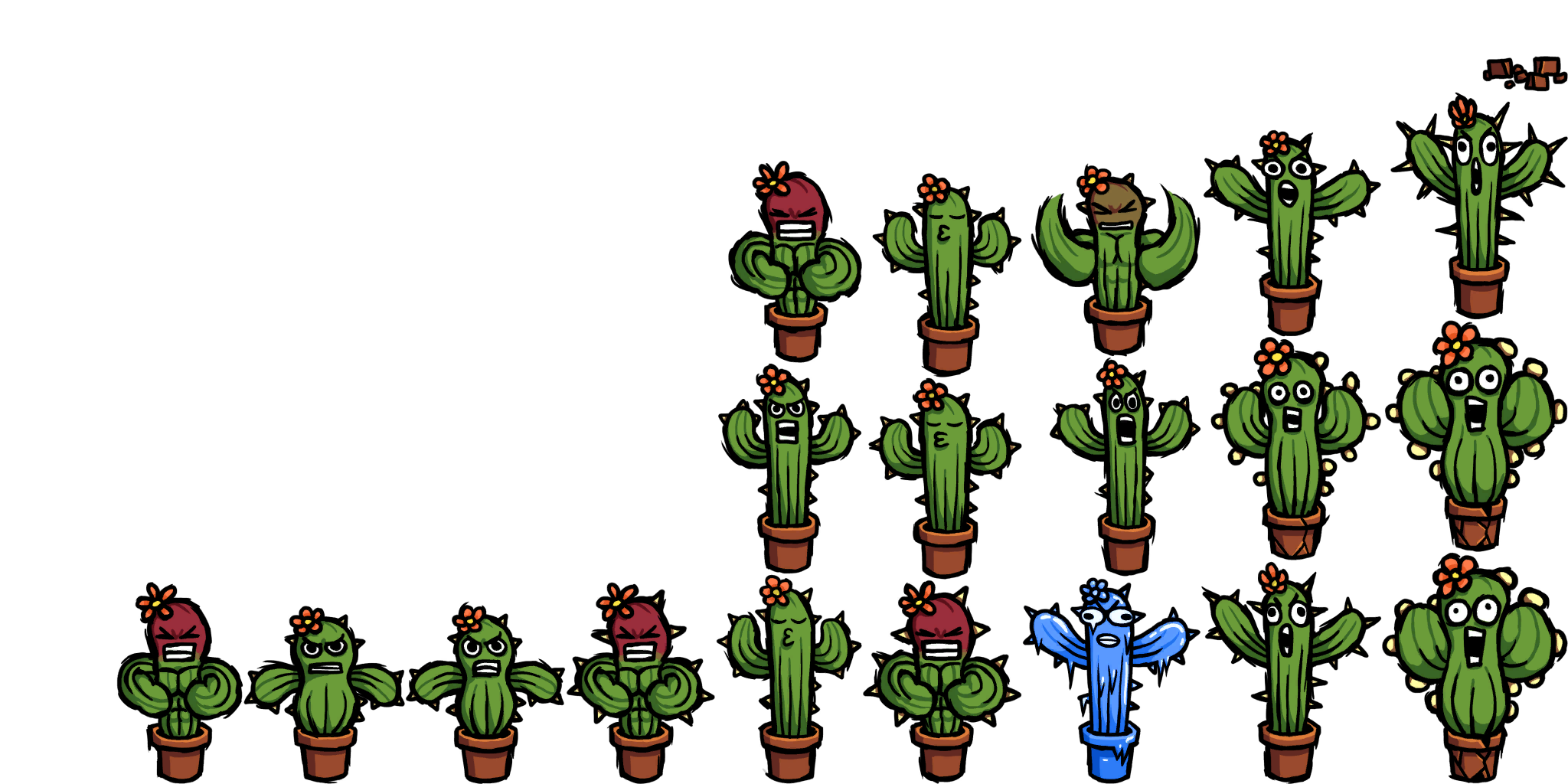 Cactus