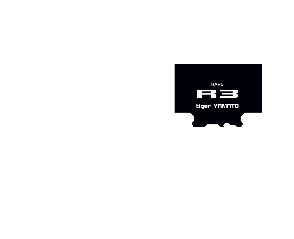 R3