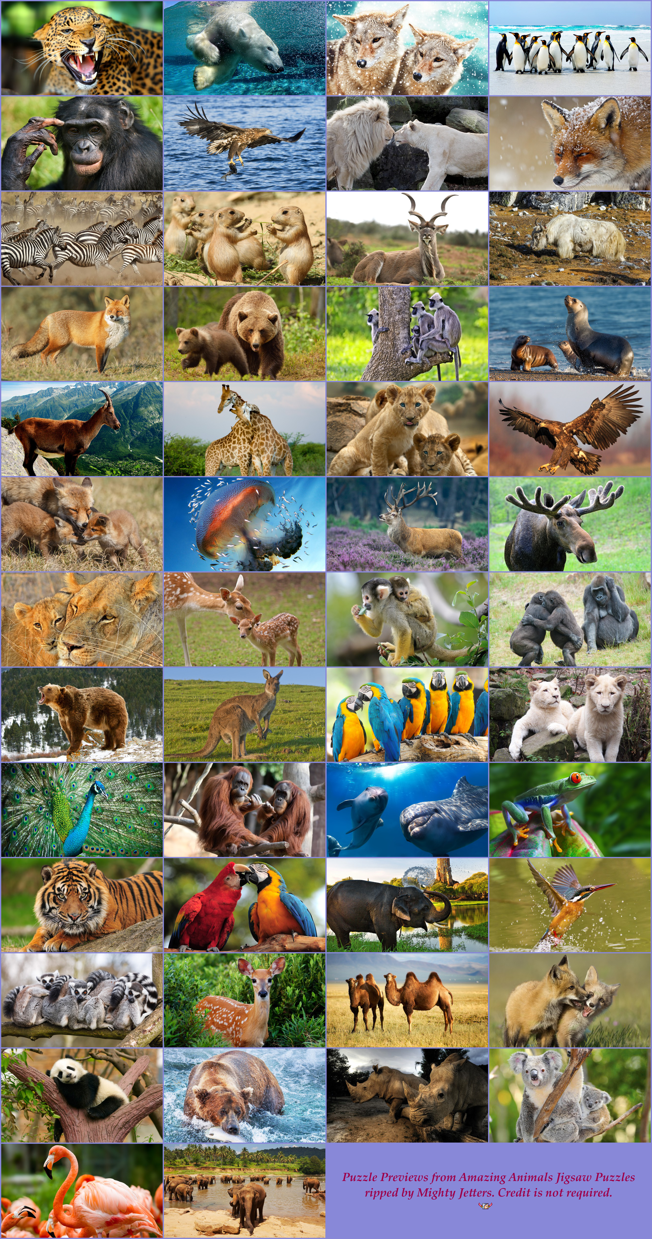 Amazing Animals Jigsaw Puzzles - Puzzle Previews