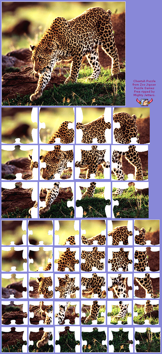 Zoo Jigsaw Puzzles Games Free - Cheetah
